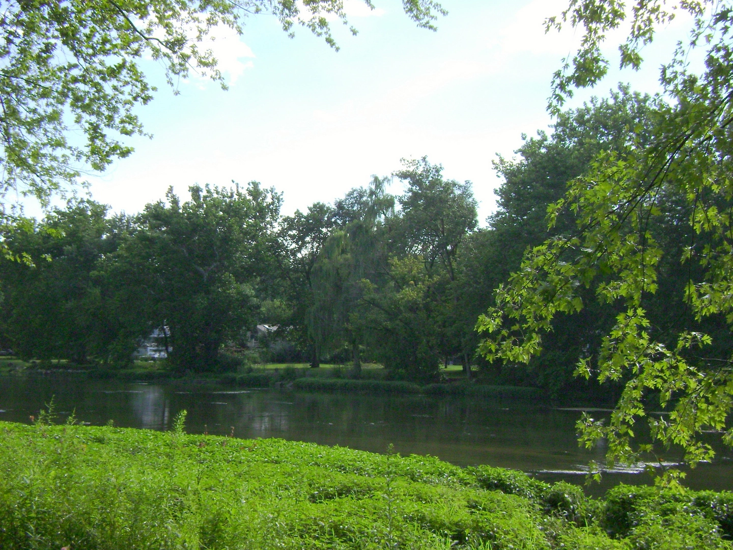 An image depicting the trail Conodoguinet Creek and Fishing Creek and its surrounding area.