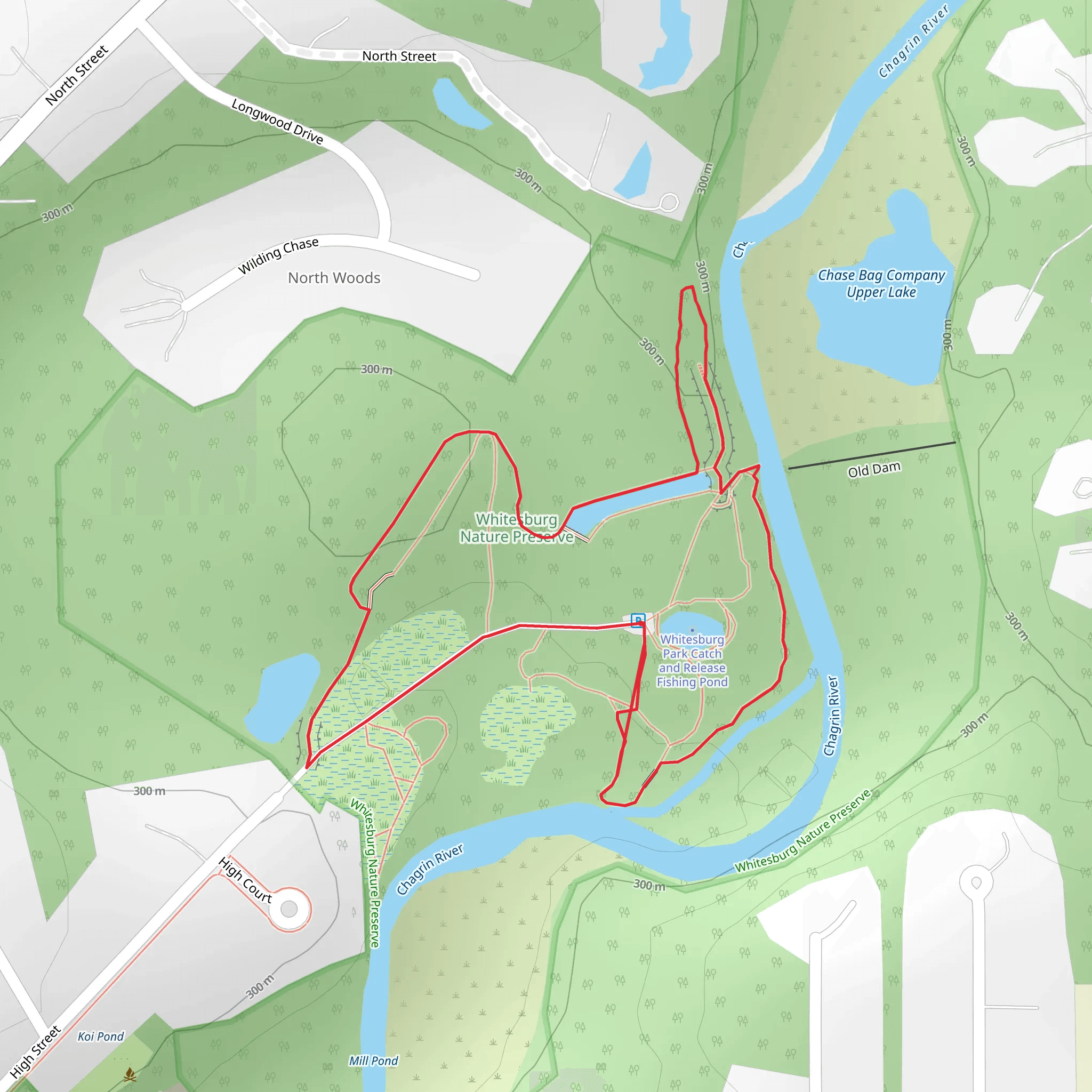 Whitesburg Park Catch and Release Fishing Pond Loop mobile static map