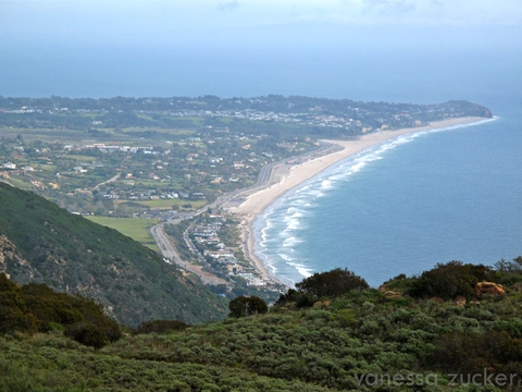 An image depicting the trail East Meadow Trail via Botany Trail and its surrounding area.