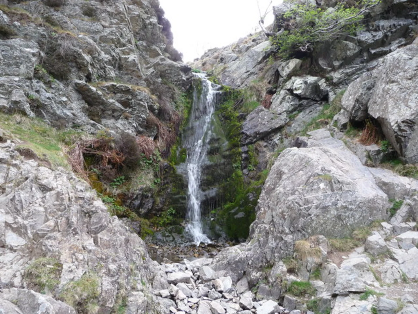 An image depicting the trail Church Stretton to Minton Loop via Pole Bank and Carding Mill Valley and its surrounding area.
