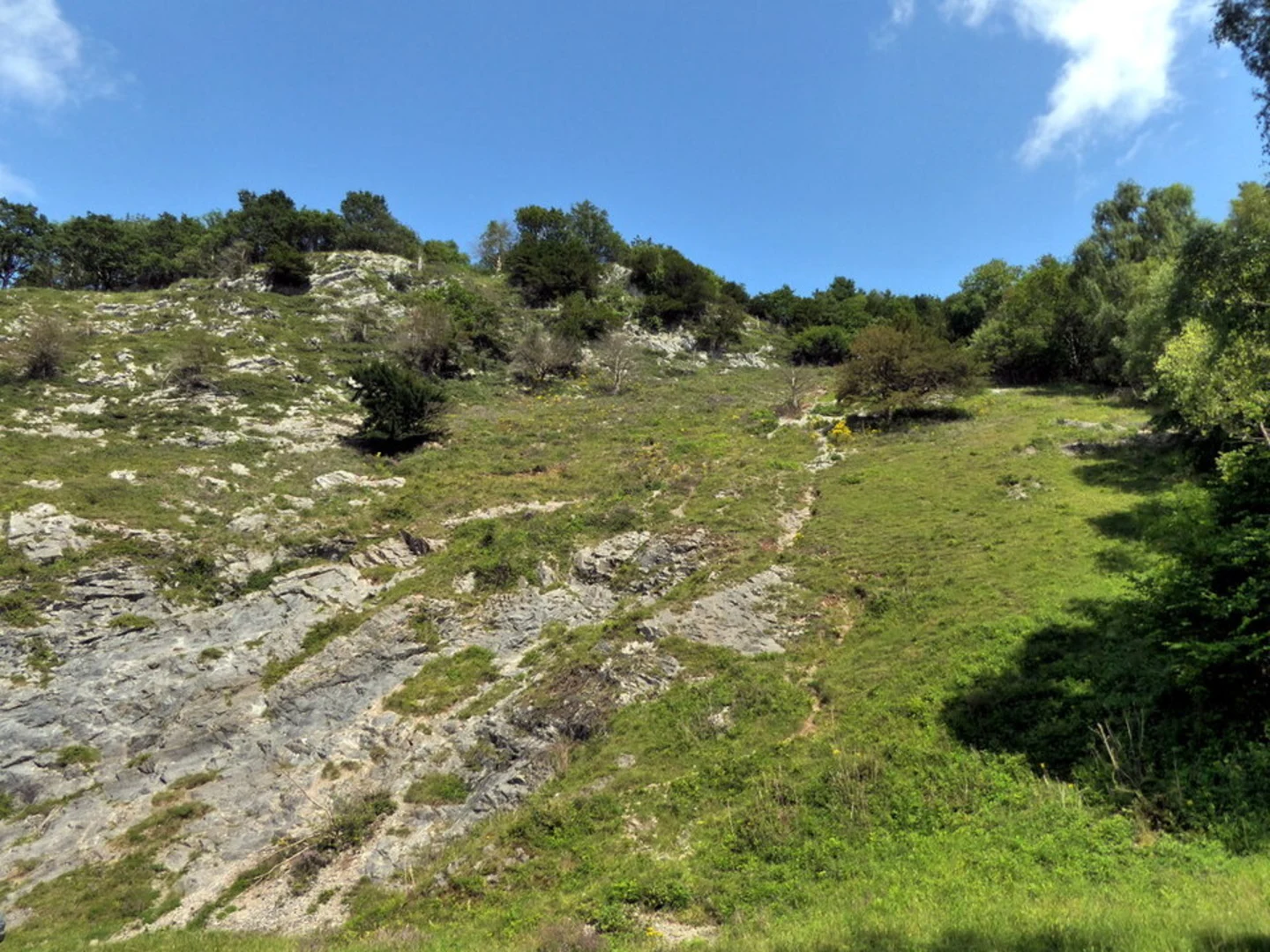 An image depicting the trail Burrington Combe and its surrounding area.