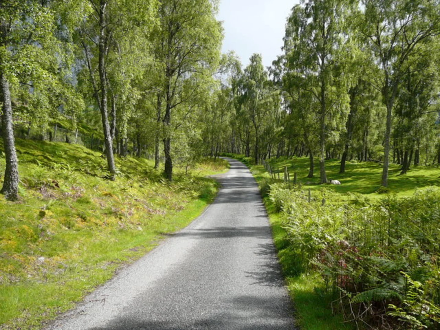 An image depicting the trail Monadh Mòr and its surrounding area.