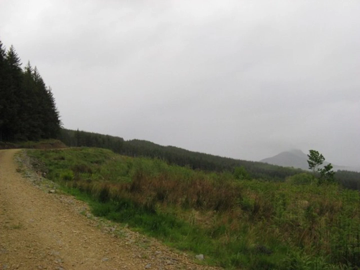 An image depicting the trail Clauchland Hills Loop Trail and its surrounding area.