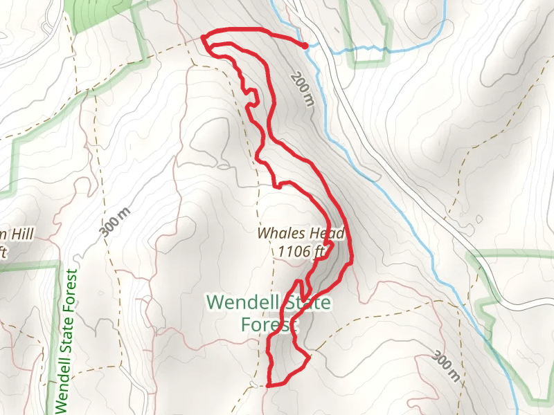 Wendell State Forest - Hannah Swarton Trail Loop
