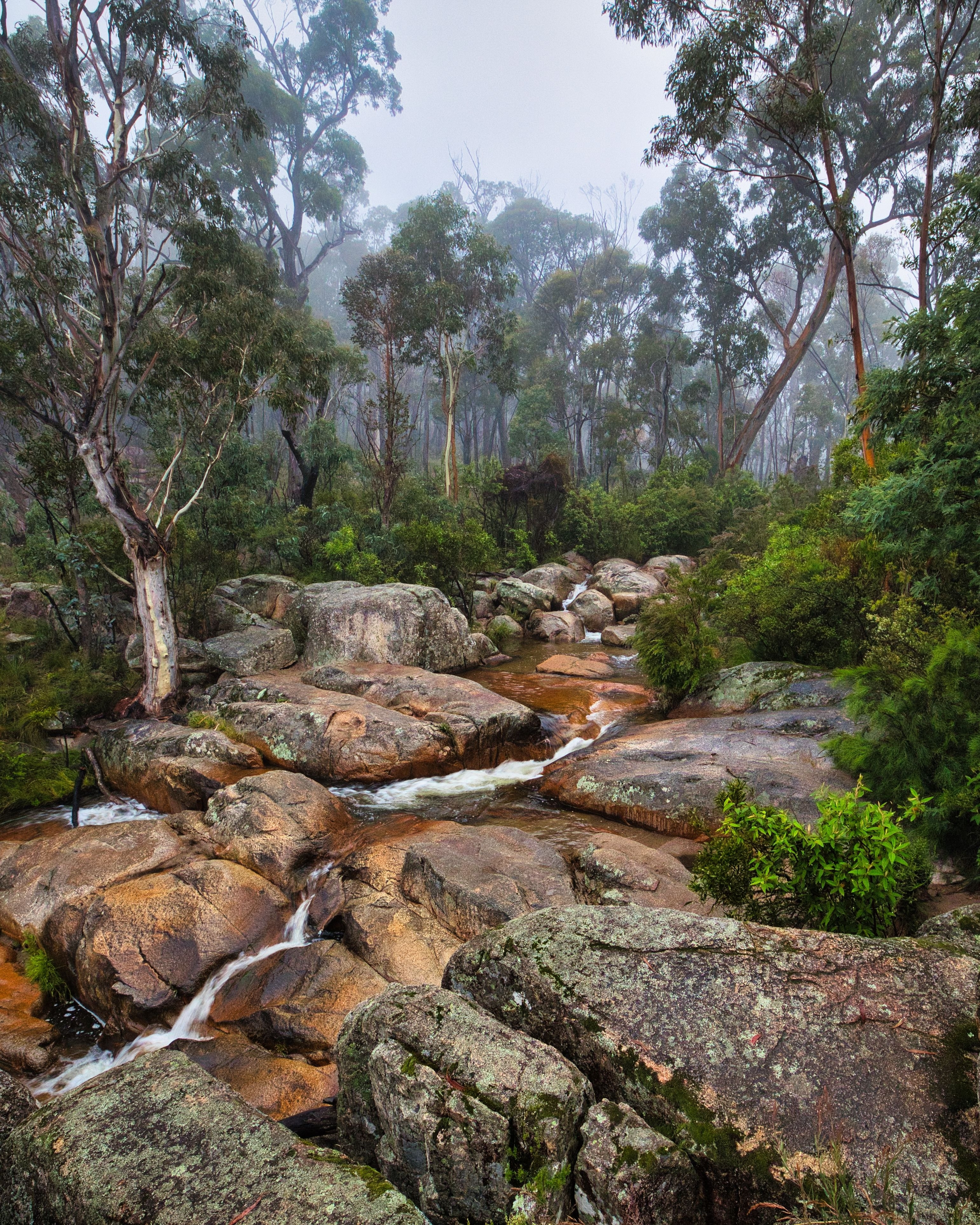 An image depicting the trail Brindabella National Park and its surrounding area.