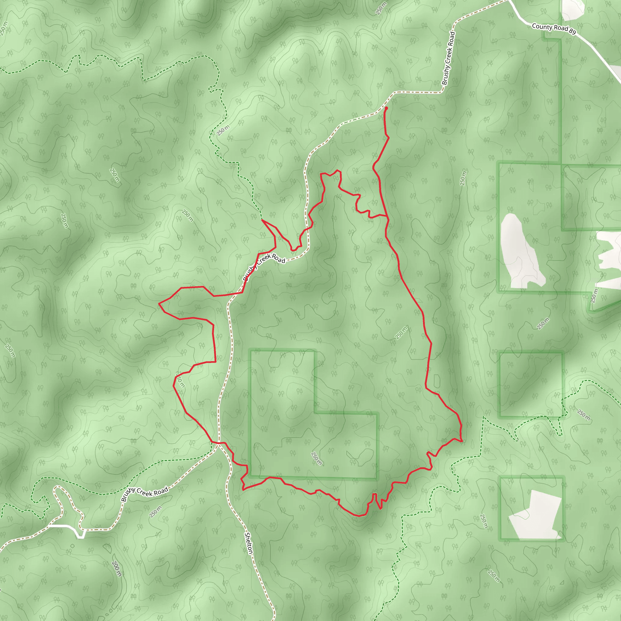 Brushy Creek and Pine Torch Loop mobile static map
