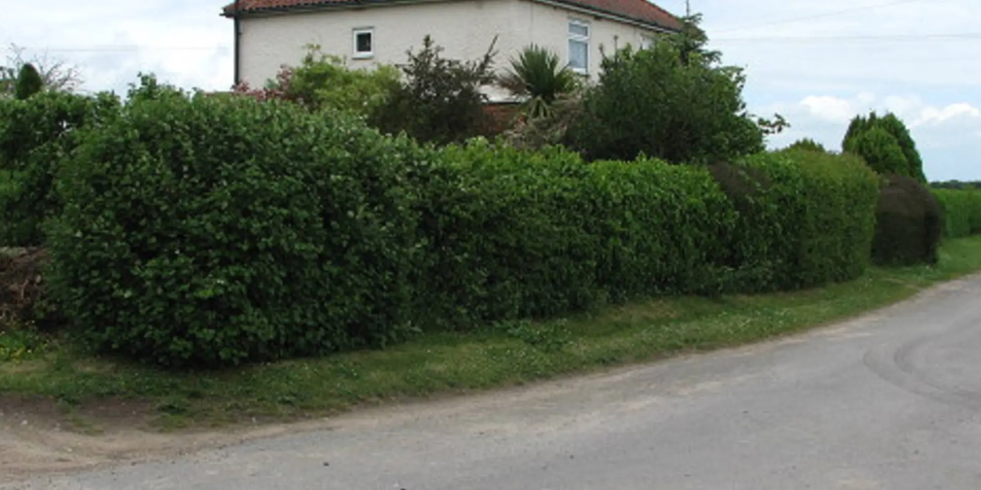 An image depicting the trail River Bure and Tunstall Dike from Acle and its surrounding area.