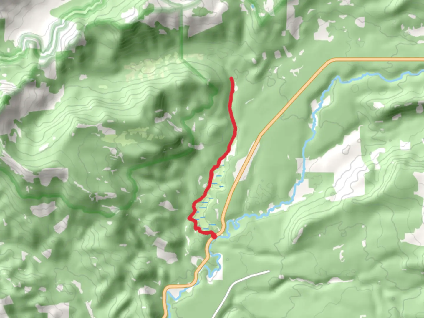 An image depicting the trail Muir Creek Trail and its surrounding area.