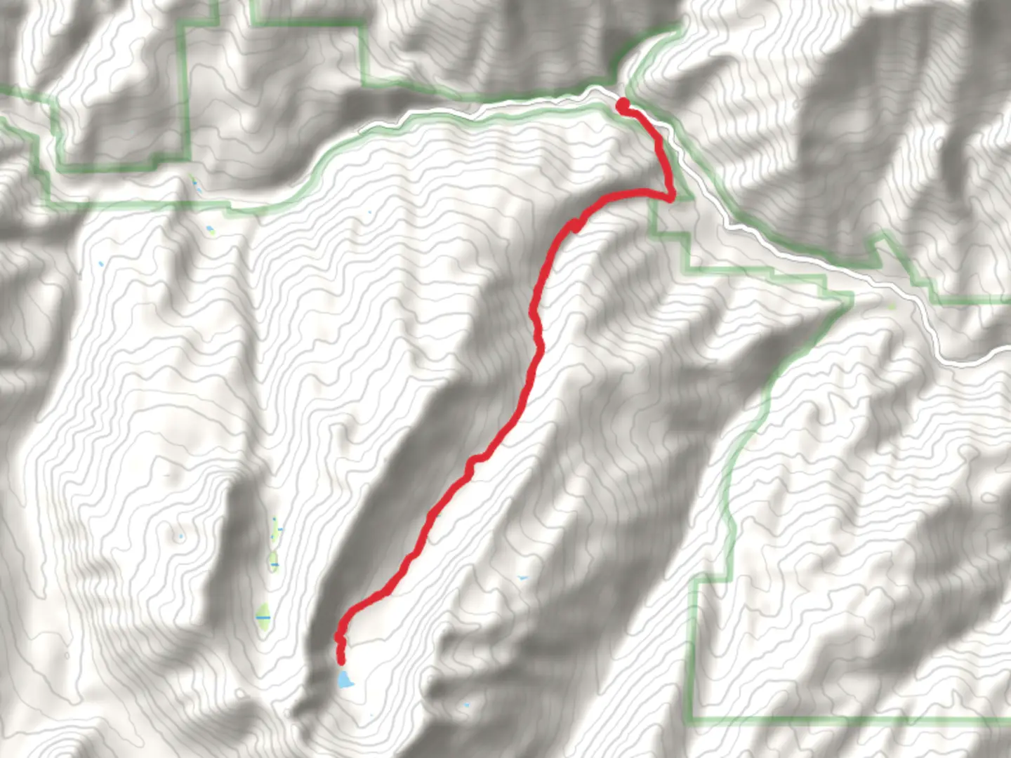An image depicting the trail Sugar Pine Lake Trail and its surrounding area.