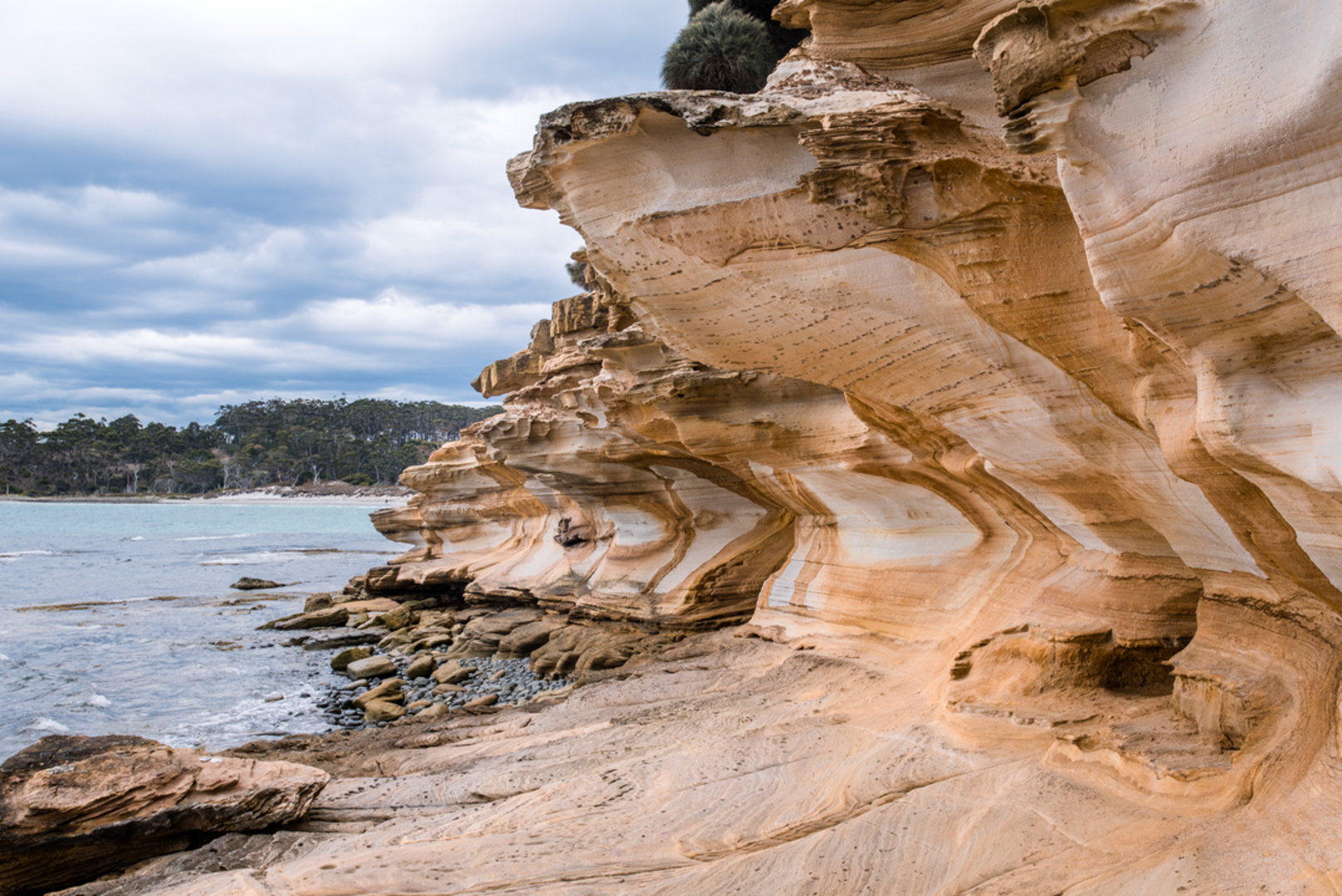 An image depicting the trail Painted Cliffs Track and its surrounding area.