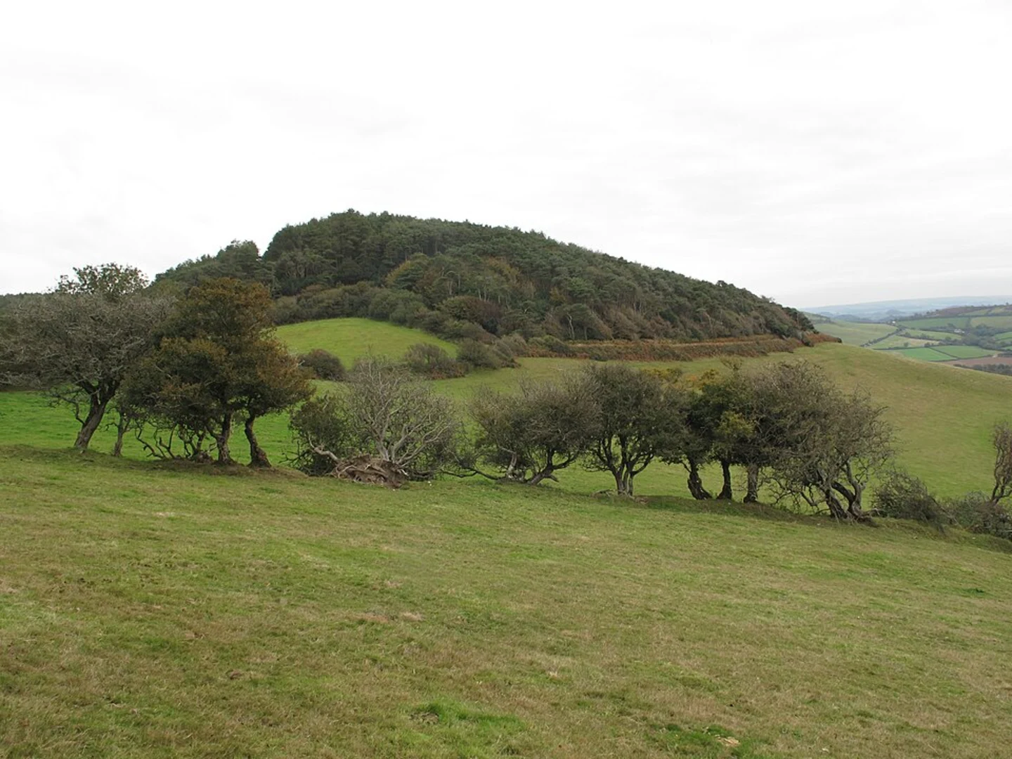 An image depicting the trail Charlmouth, Stanton St Gabriel Country Park and Langdon Hill Walk and its surrounding area.