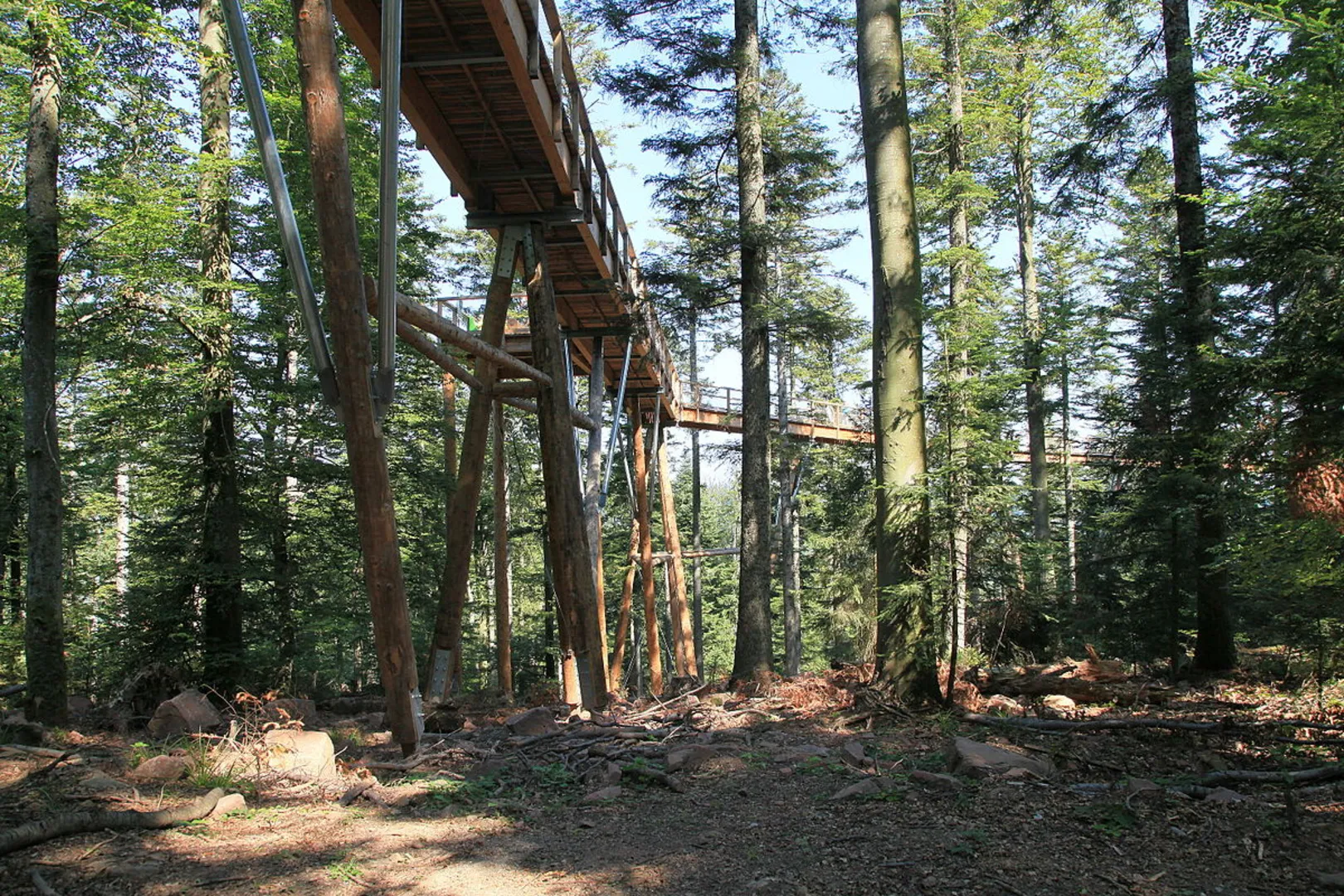 An image depicting the trail Baumwipfelpfad and Emmaweg Loop and its surrounding area.