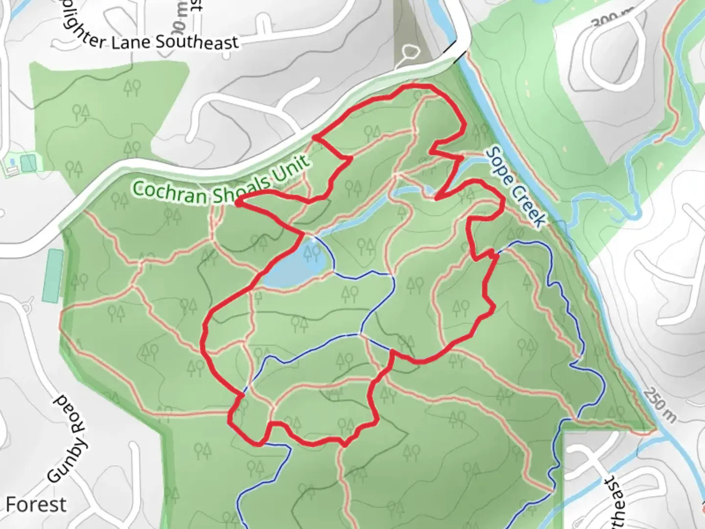 An image depicting the trail Sope Creek and its surrounding area.