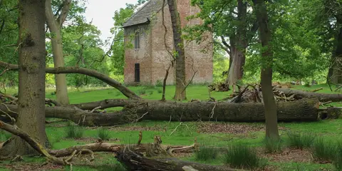 An image depicting the trail Bridgewater Way and its surrounding area.