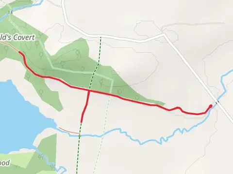 Firchild's Covert Walk