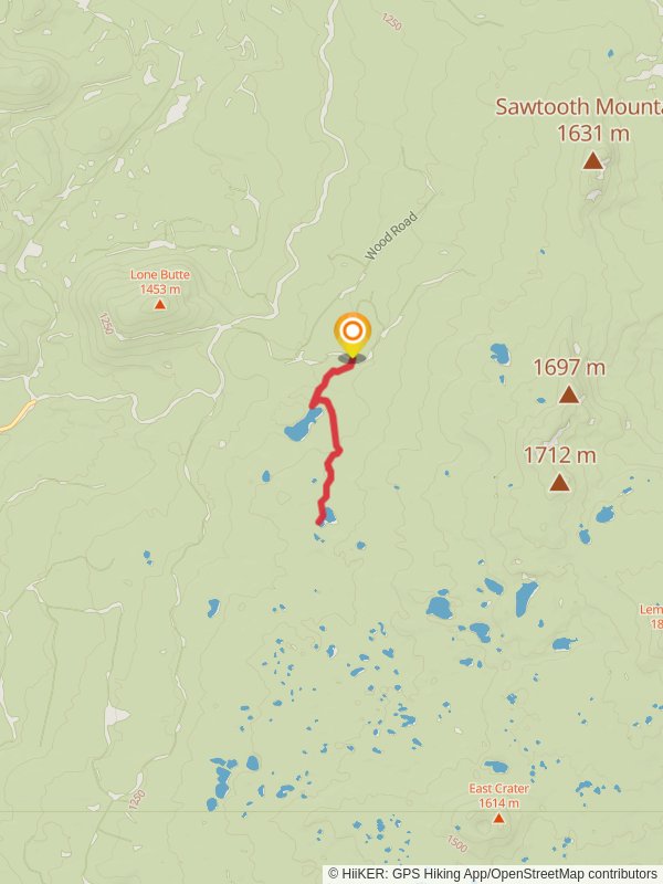 Chenamus Lake Trail mobile static map