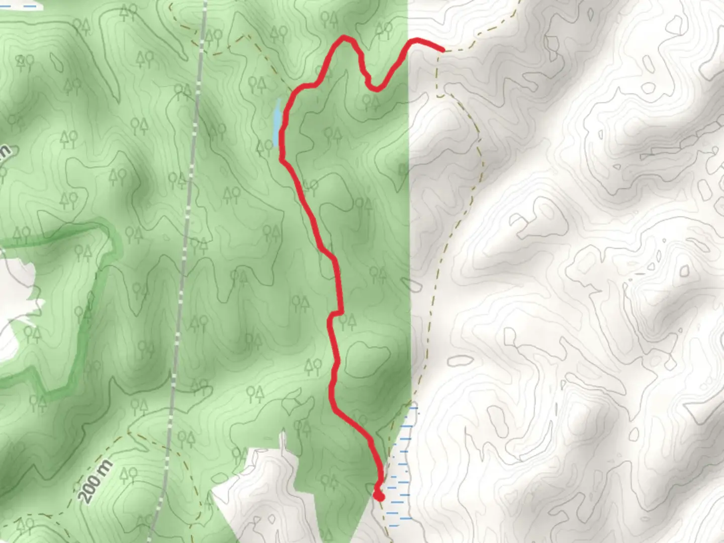 An image depicting the trail Bear Claw Top Trail and its surrounding area.