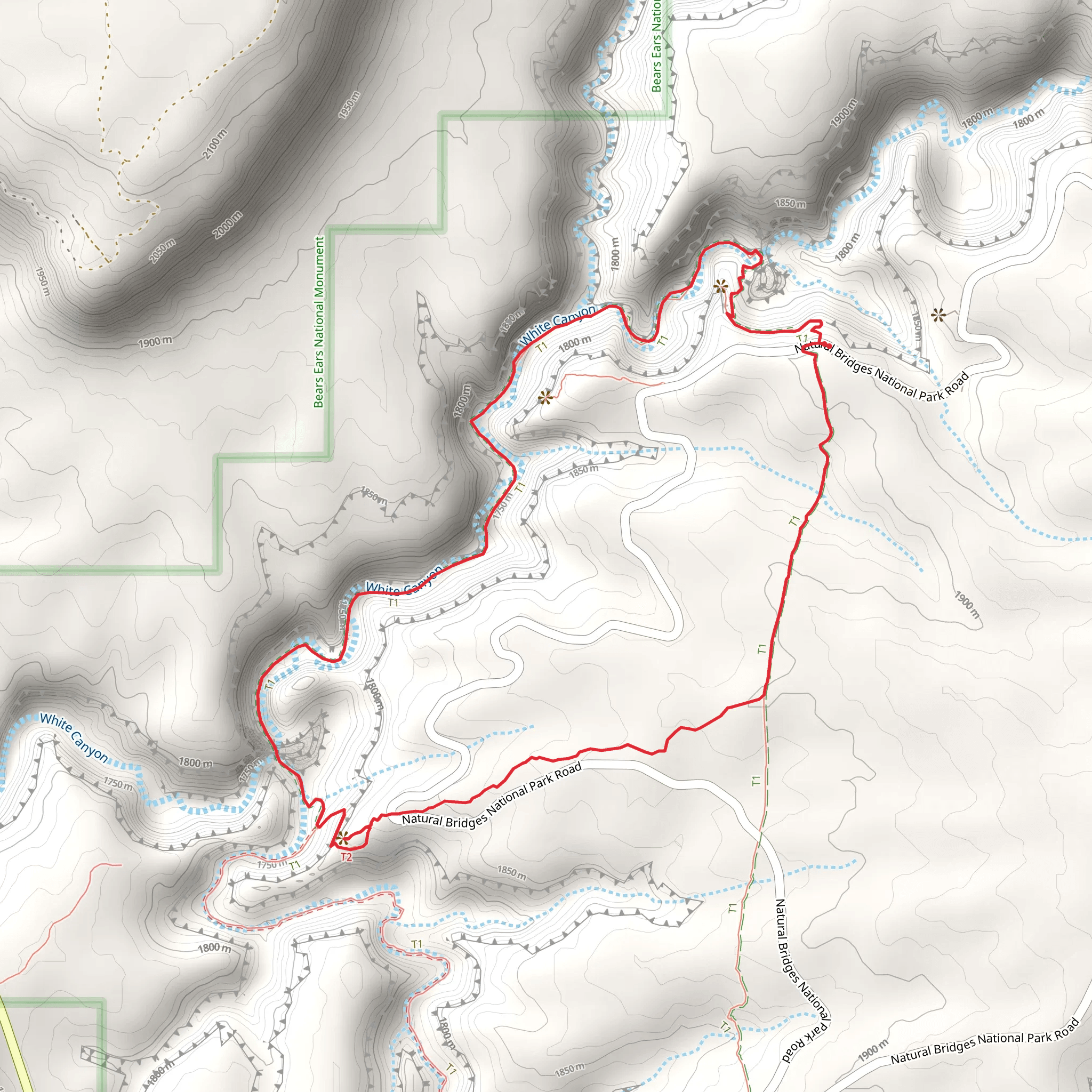 White Canyon and Mesa Loop Trail mobile static map