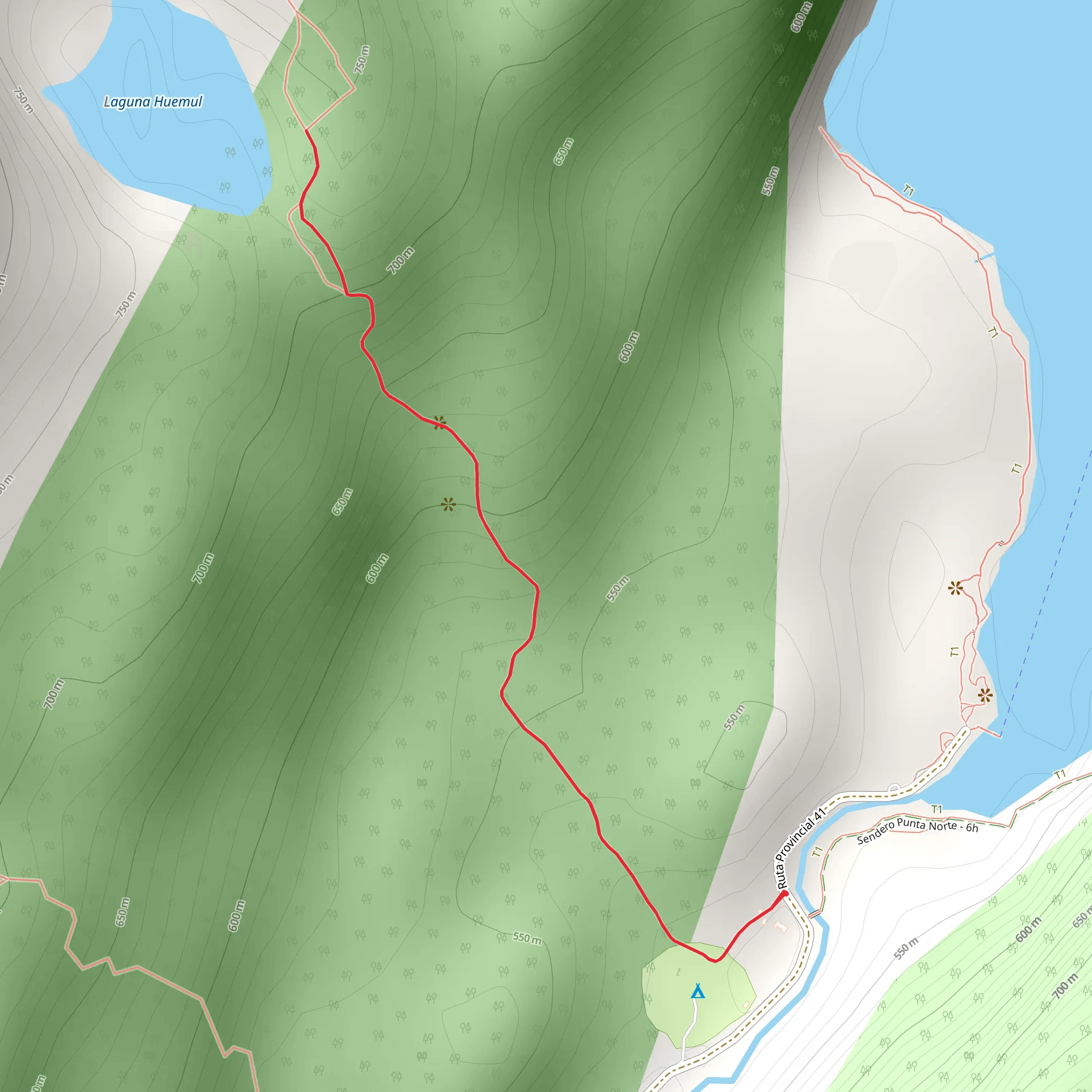 Lake Huemul mobile static map