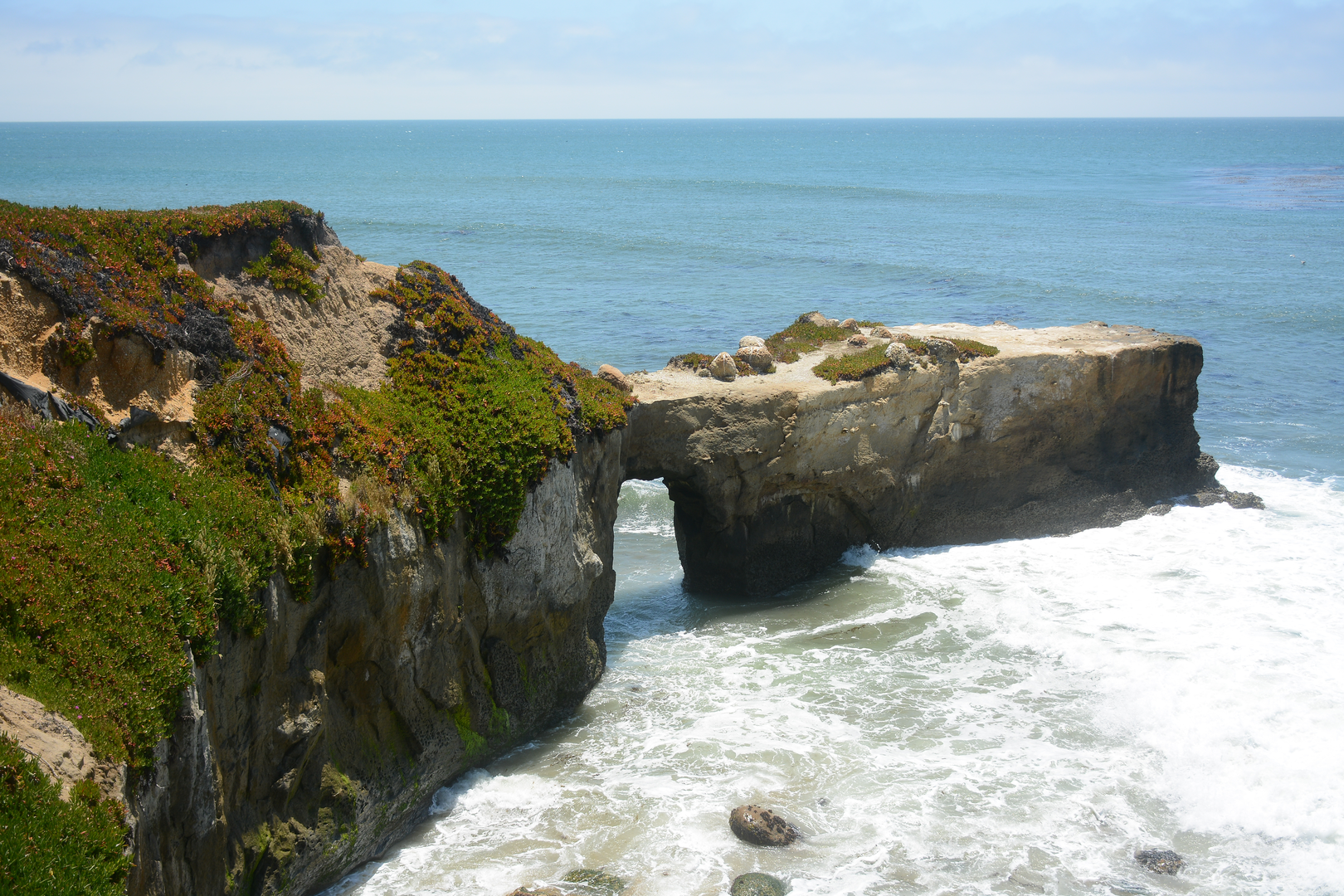 An image depicting the trail West Cliff Multipurpose Pathway and its surrounding area.