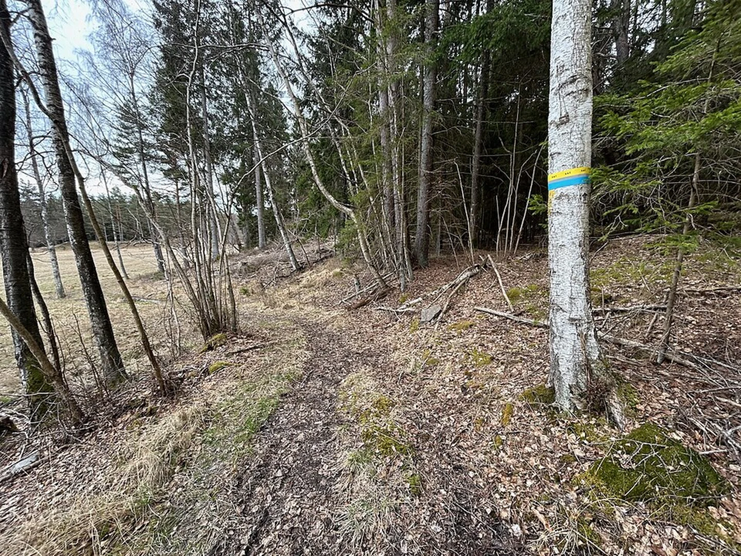 An image depicting the trail Stockholm Archipelago Trail - Ornö and its surrounding area.