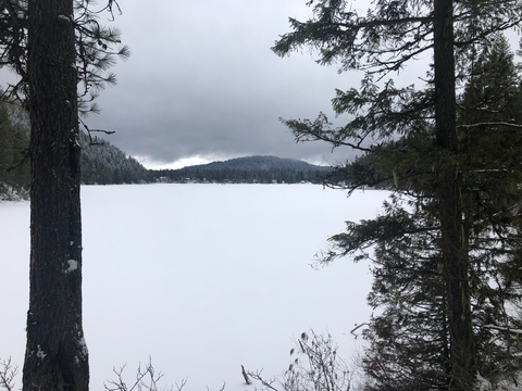An image depicting the trail Bead Lake Trail and its surrounding area.