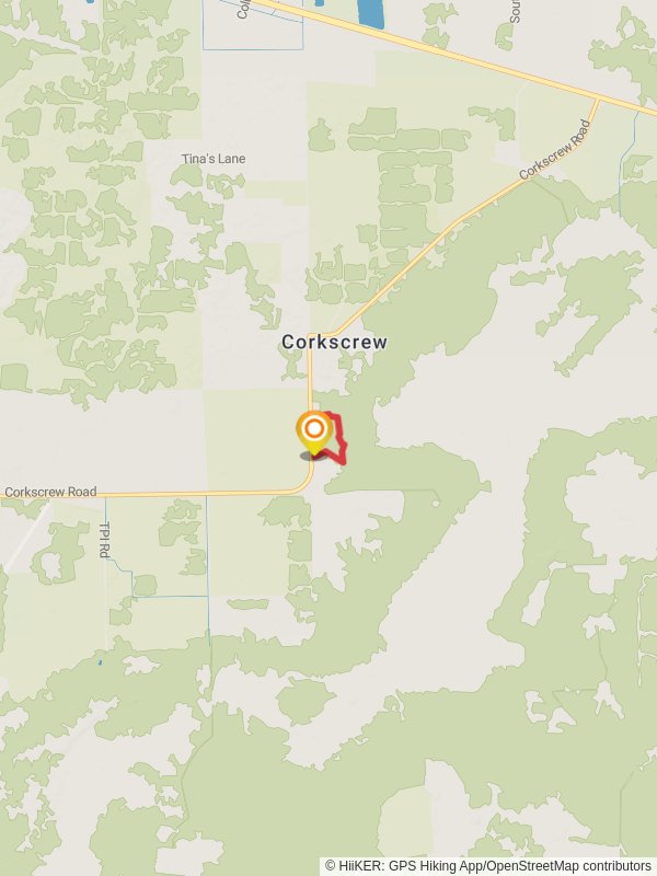 Corkscrew Road Loop Walk mobile static map