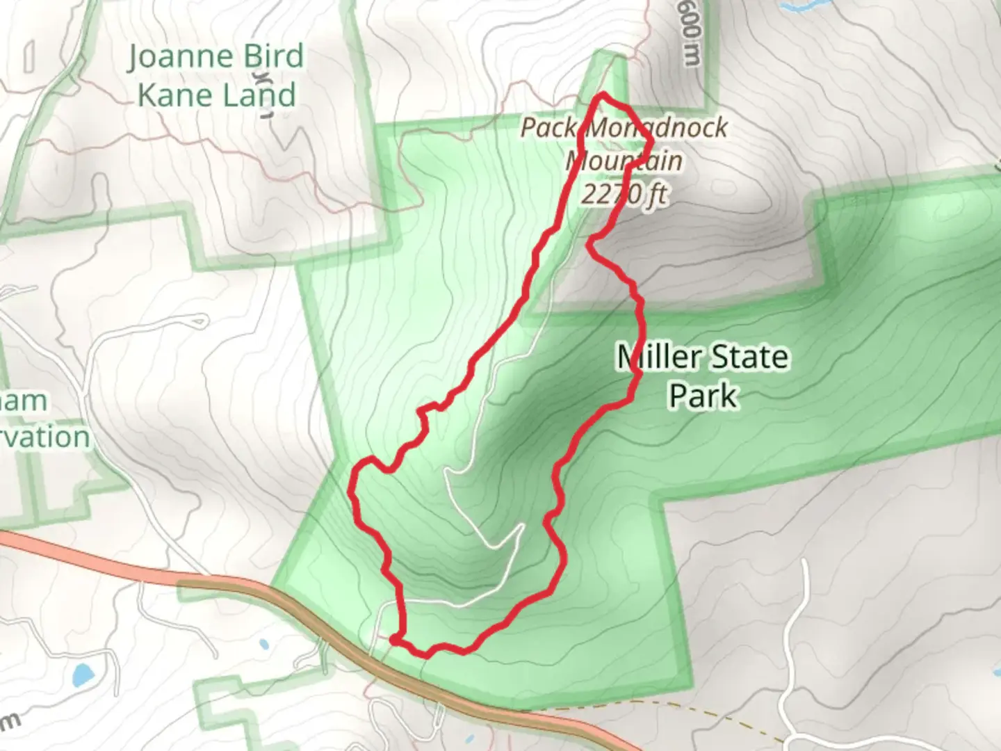 An image depicting the trail Marion Davis Trail via Wapack Trail and its surrounding area.