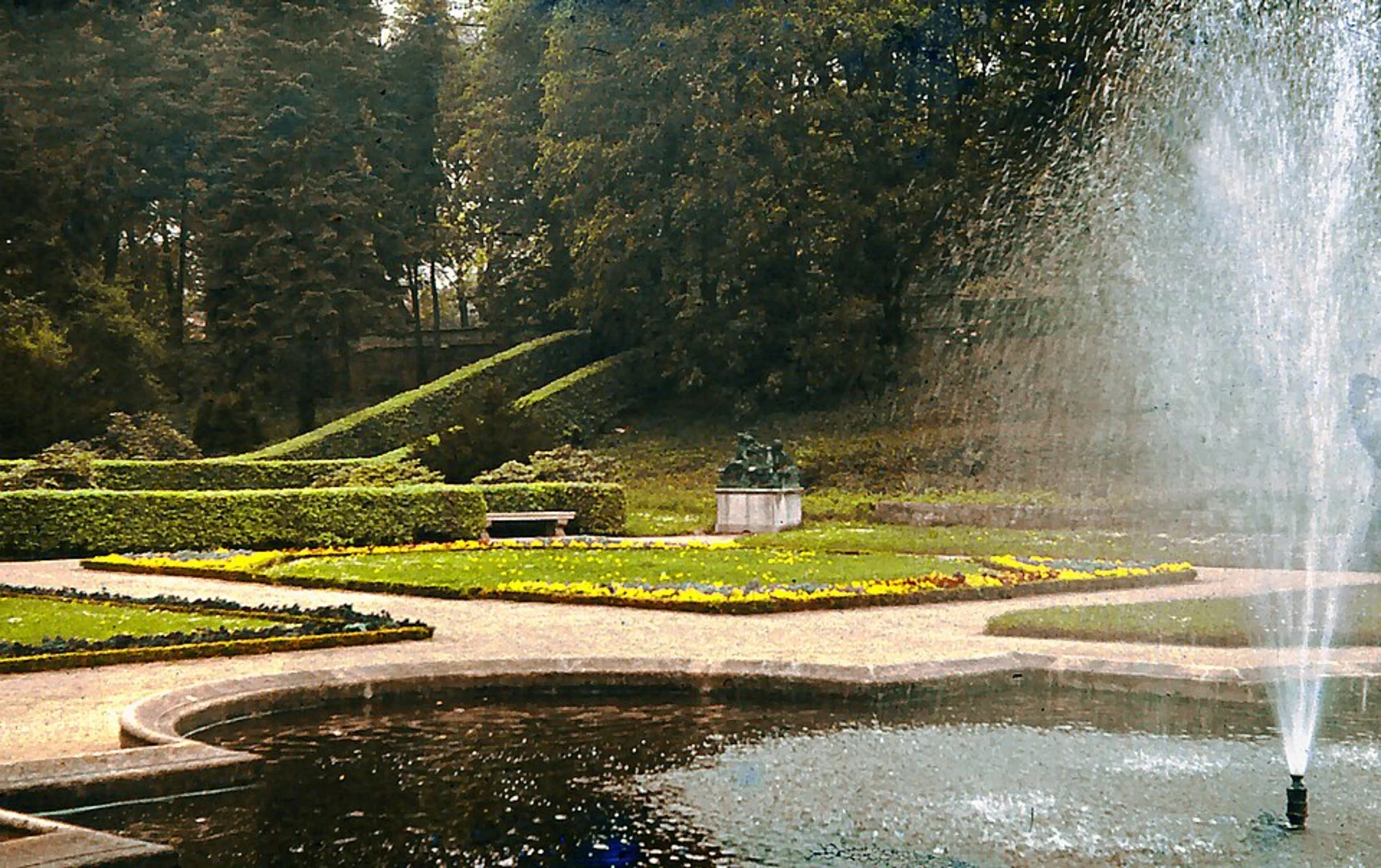 An image depicting the trail Röhrensee and Maulbeer Allee Loop and its surrounding area.