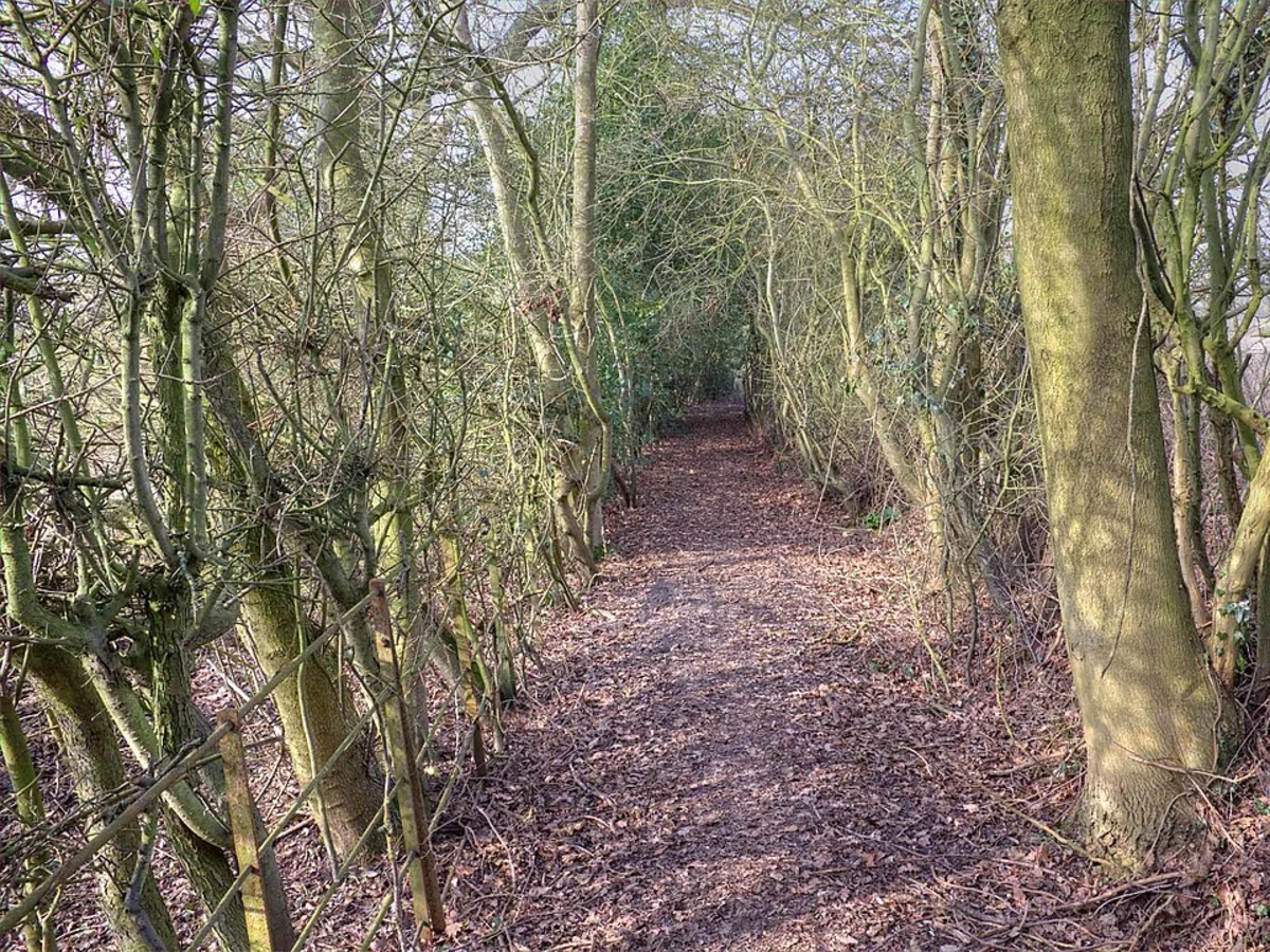 Lowsonford and Yarningale Common Loop
