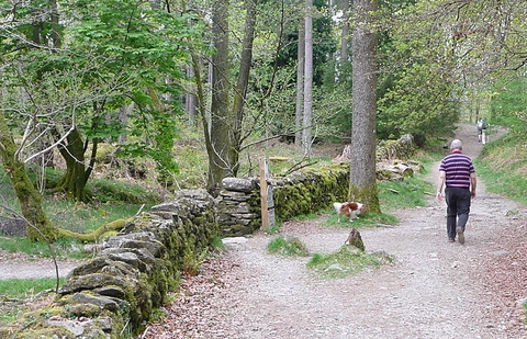 Bowscale Tarn, Skelghyll Wood and Rydal Park Walk