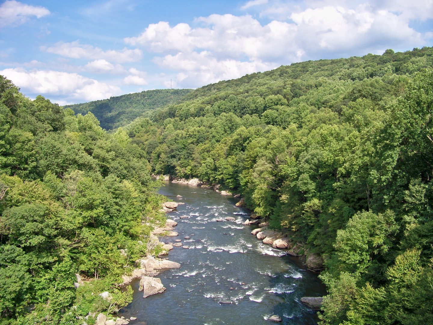 An image depicting the trail Laurel Highlands Trail via Youghiogheny River - Ohiopyle and its surrounding area.