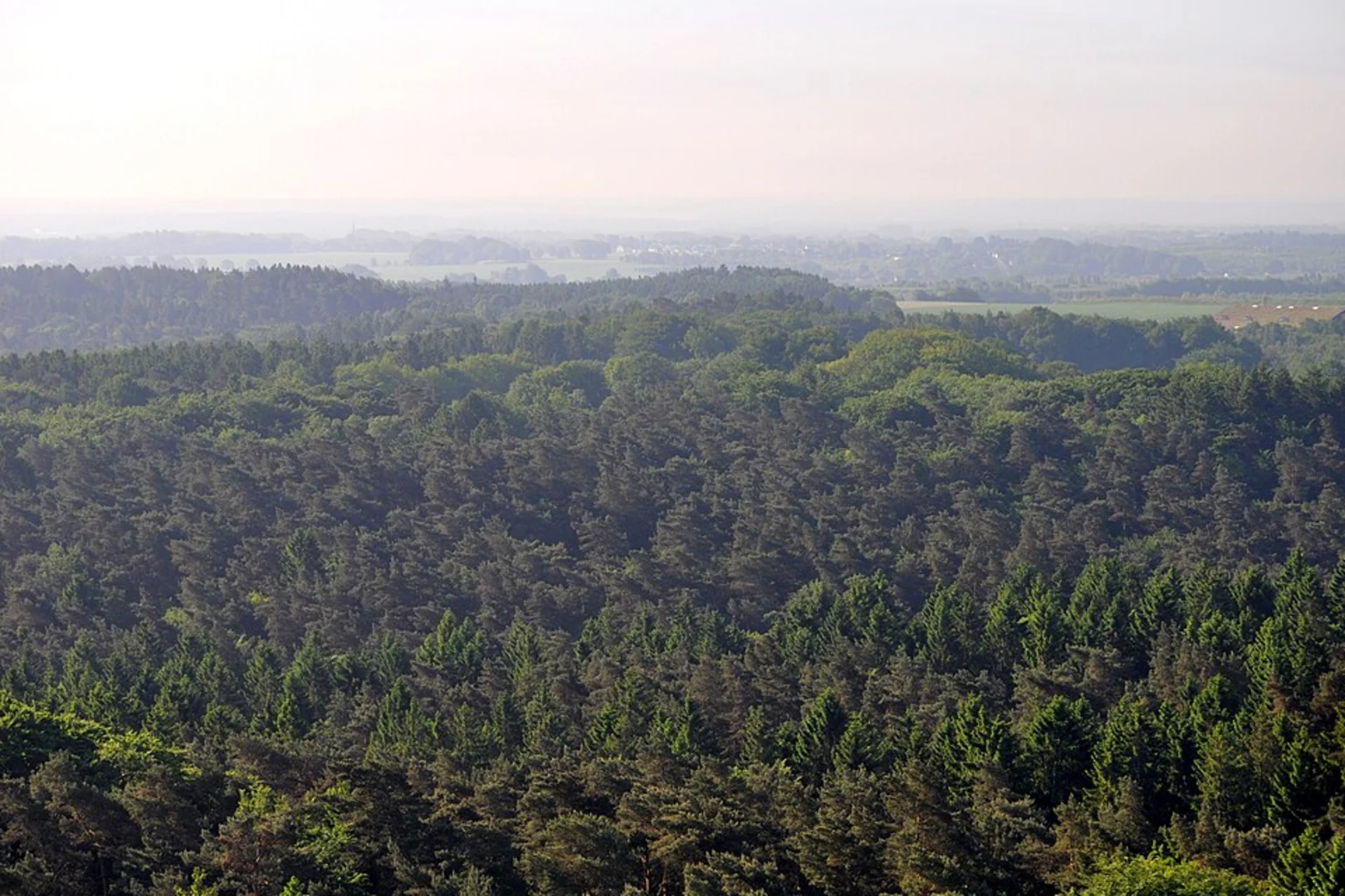 An image depicting the trail Saar Pfalz Weg and Waldlehrpfad Bremerhof Loop and its surrounding area.