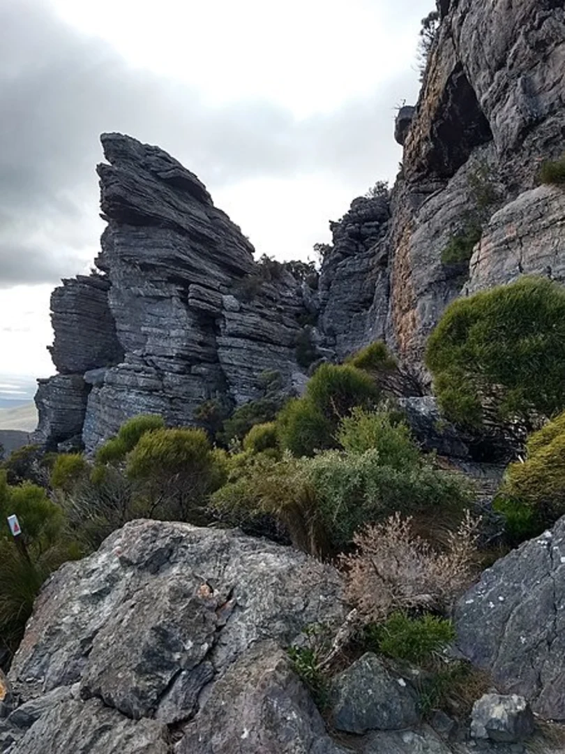 An image depicting the trail Talyuberlup Walk and its surrounding area.