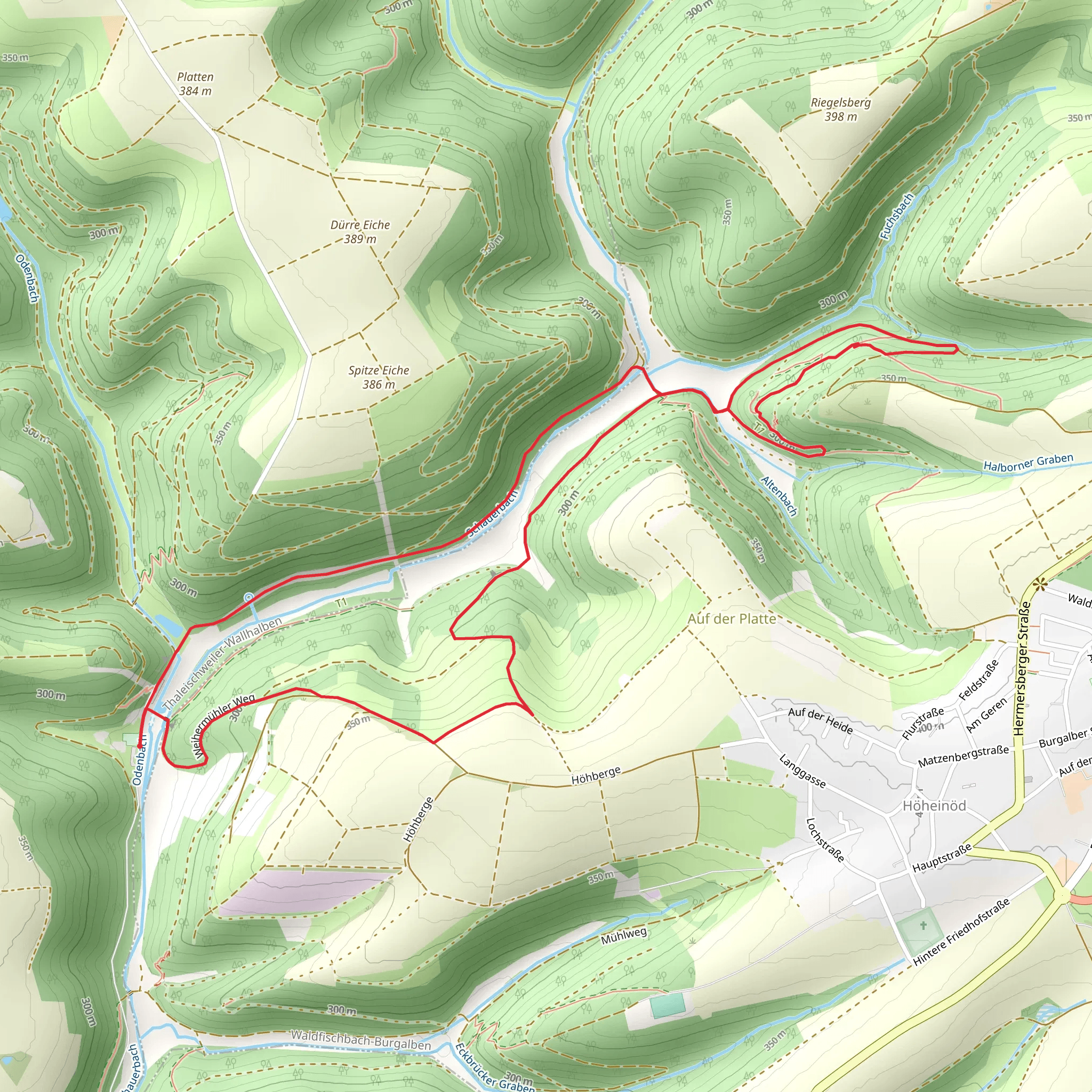 Lumertal, Waldfischbach and Burgalben Loop mobile static map