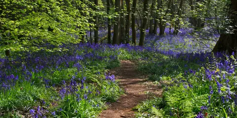 An image depicting the trail Hellidon and Badby from Woodford Halse and its surrounding area.