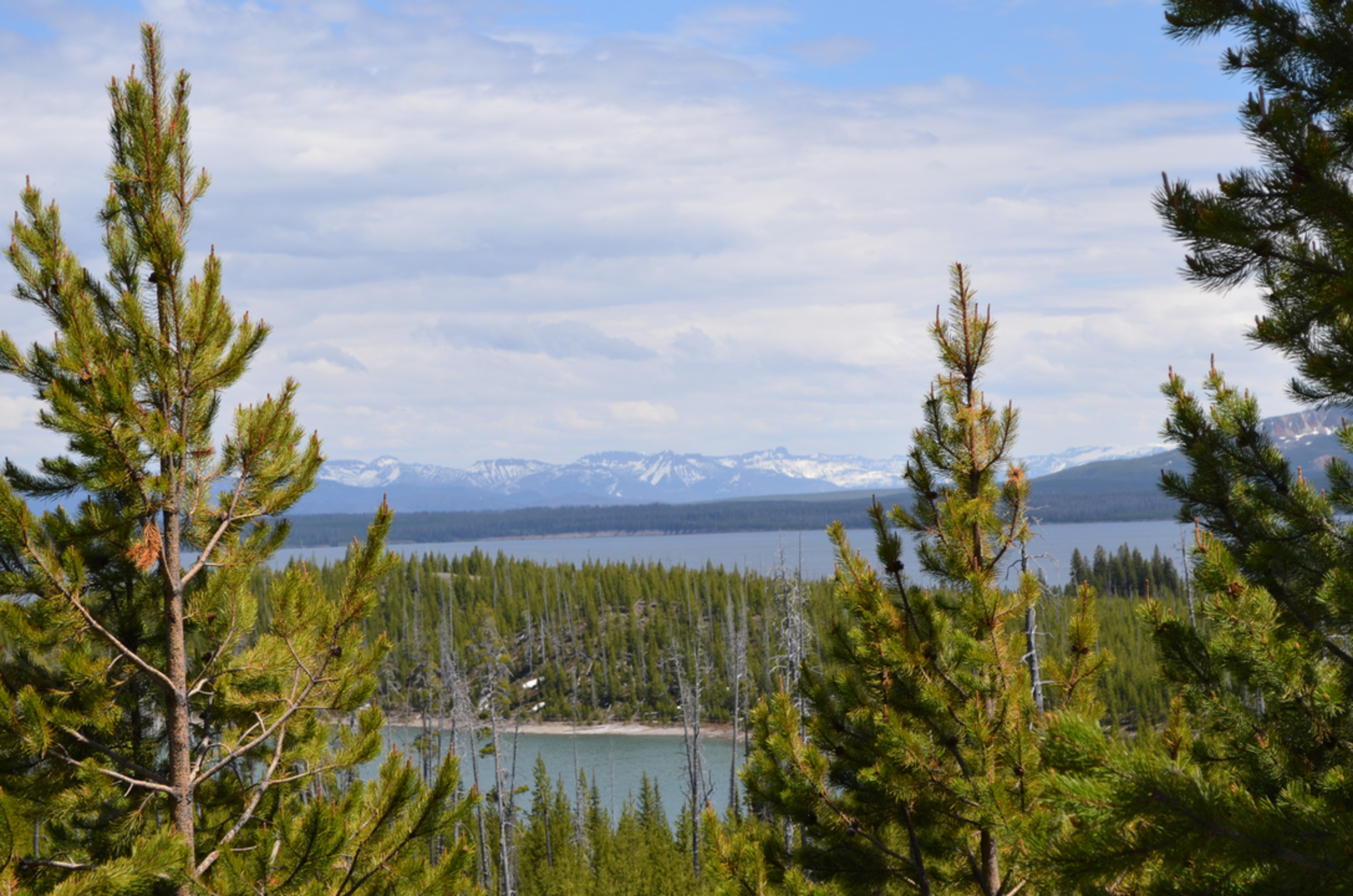 An image depicting the trail Duck Lake Trail and its surrounding area.