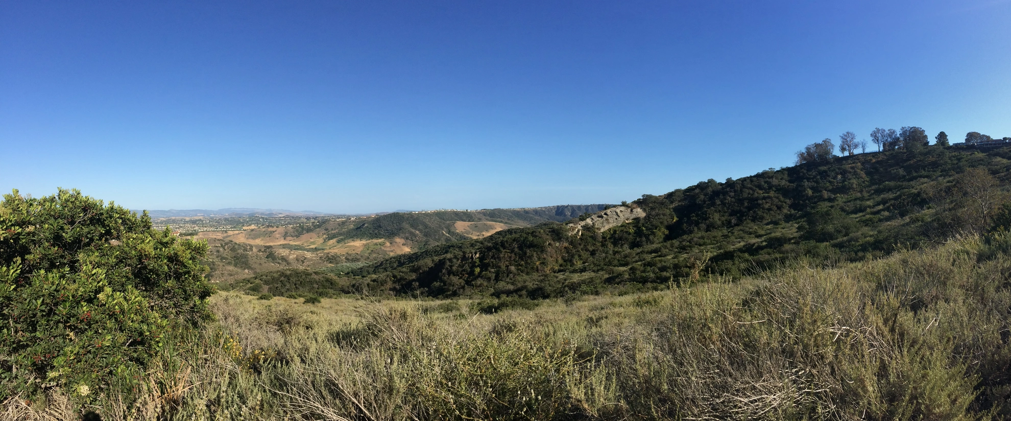 An image depicting the trail Wood Creek Loop from Alta Laguna Park and its surrounding area.