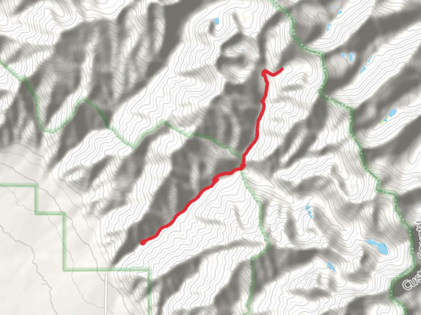 An image depicting the trail North Crestone Creek Trail and its surrounding area.
