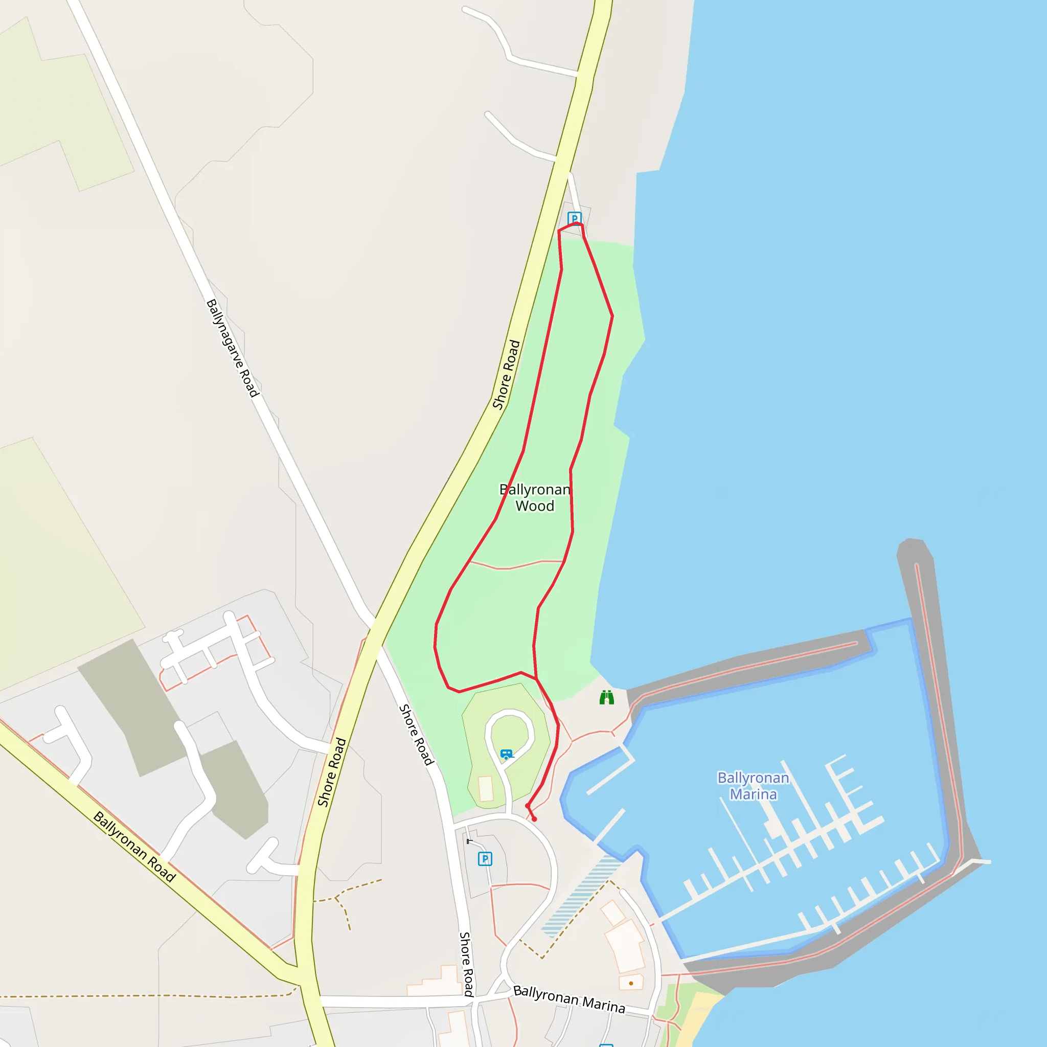 Ballyronan Wood Walk mobile static map