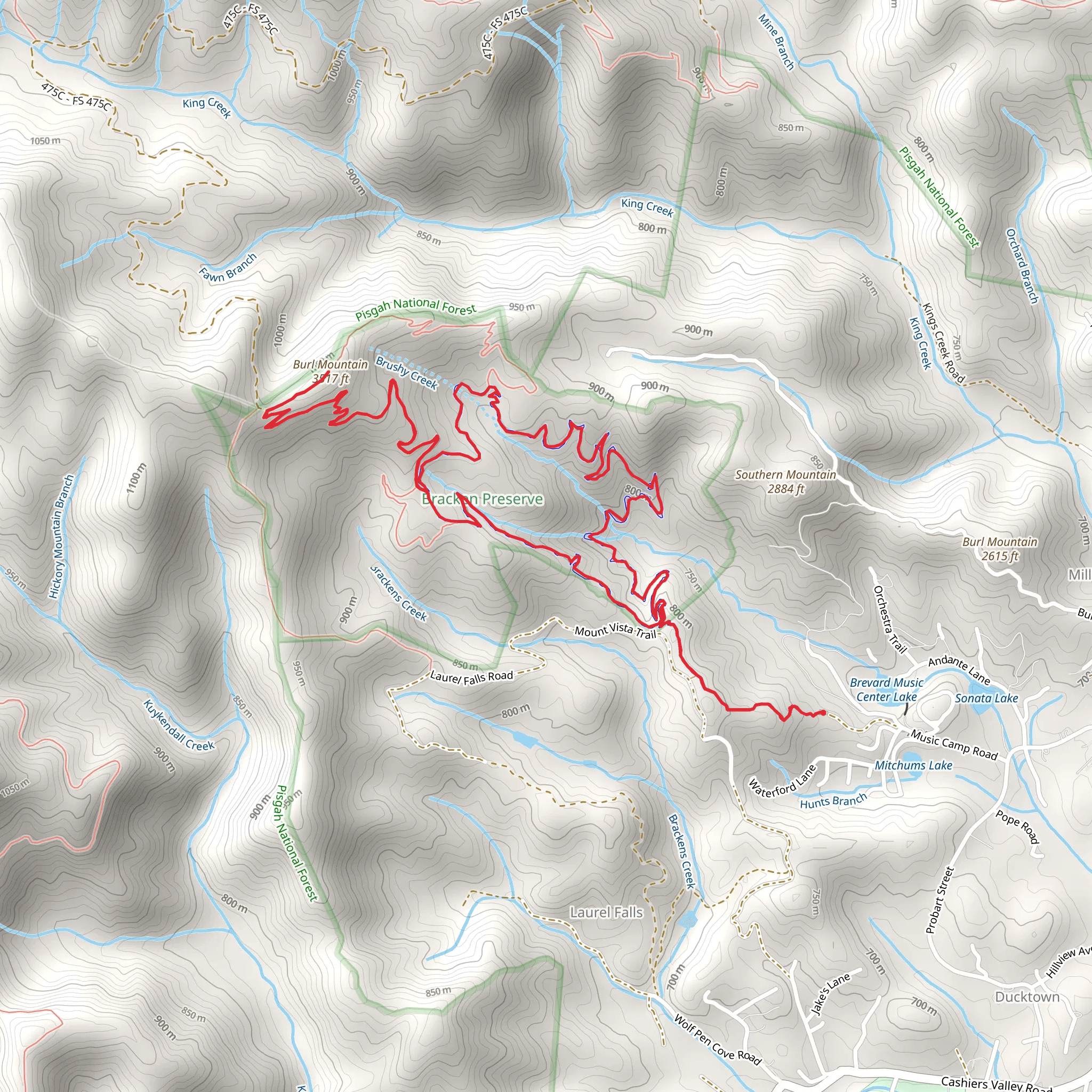 Burl Mountain via Bracken Mountain and Brushy Creek Loop Trail mobile static map