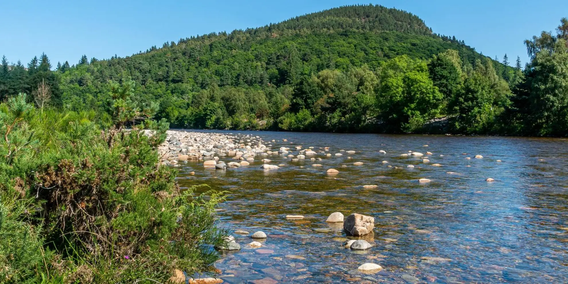 An image depicting the trail Craigendarroch Loop from Ballater and its surrounding area.