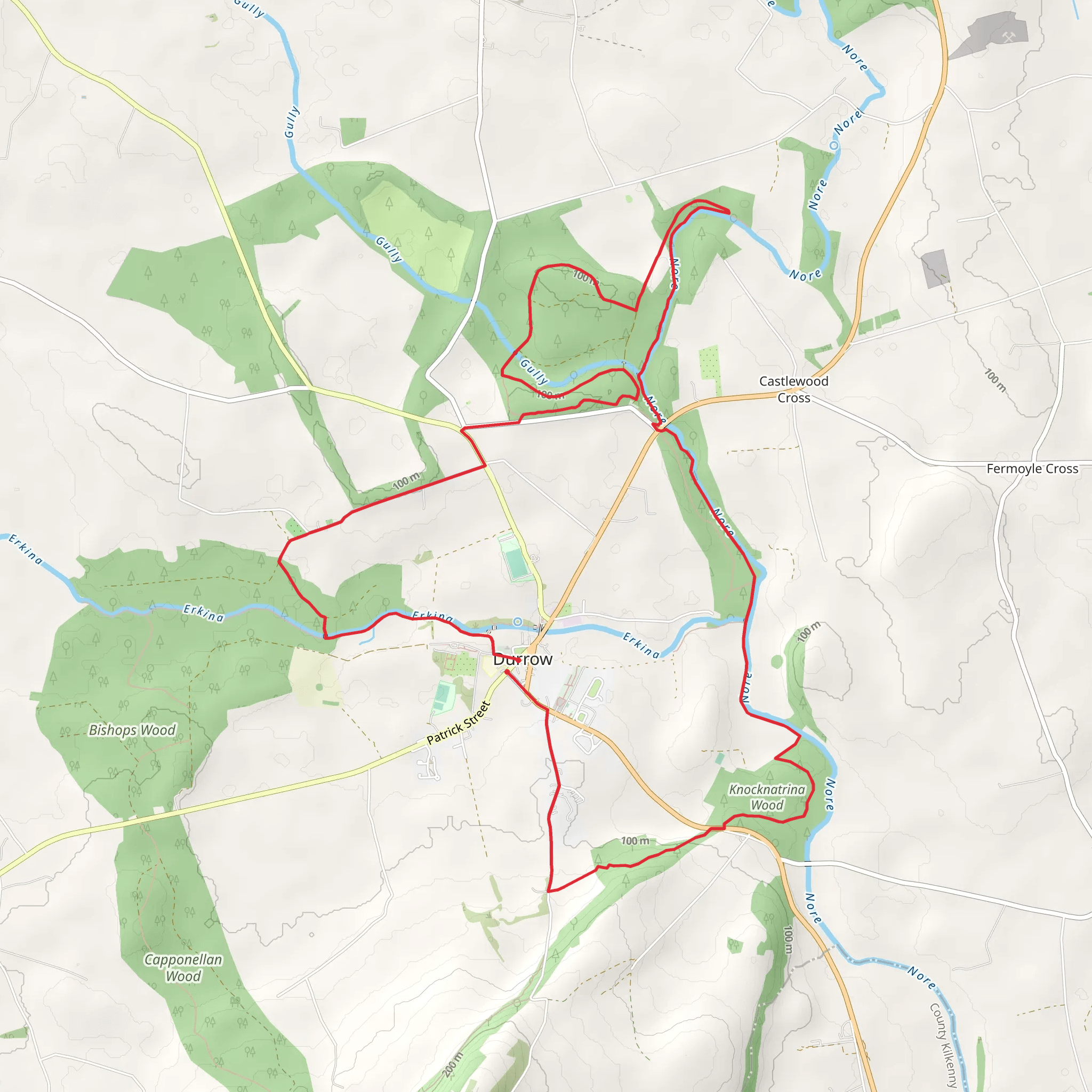 Durrow Leafy Loops - Dunmore Woods Loop mobile static map