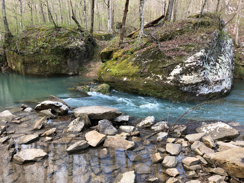 Sipsey Wilderness Loop