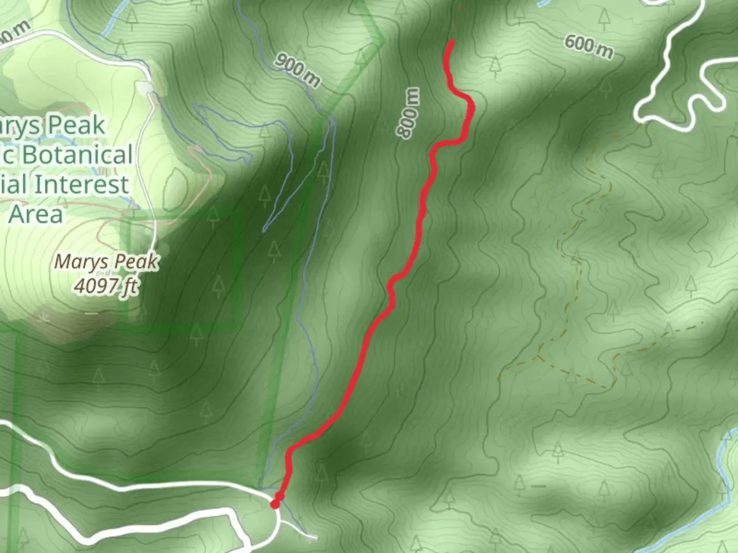 An image depicting the trail Forest Road - Marys Peak and its surrounding area.