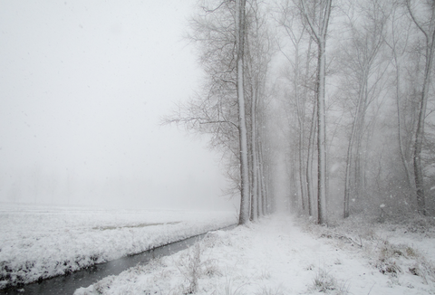 Dorshout to Carolus Simplexplein via Bobbenagelseweg and De Hanenberg