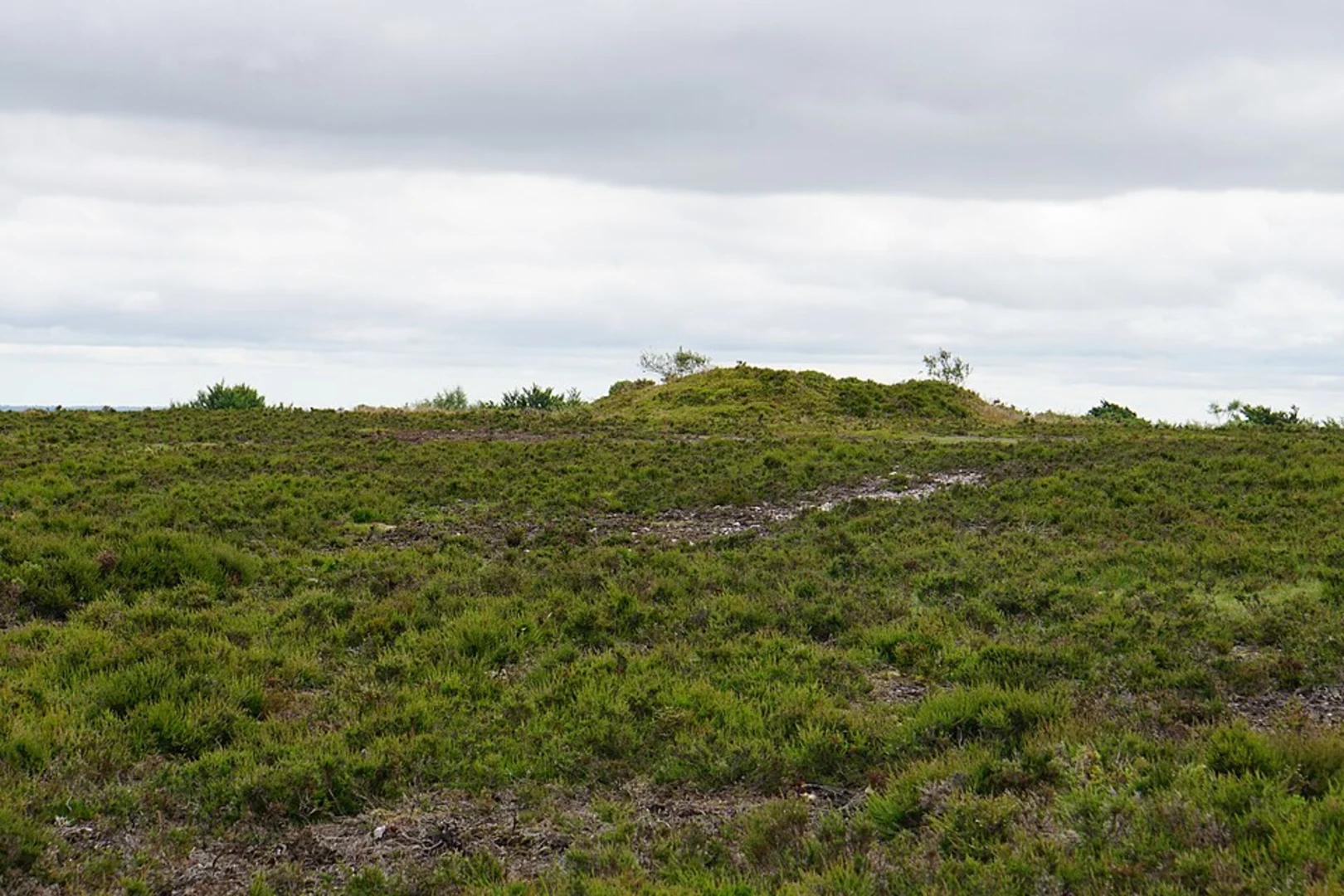 An image depicting the trail Wills Neck Out and Back and its surrounding area.