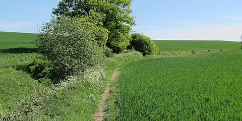 Linton - Hadstock and Rivey Hill