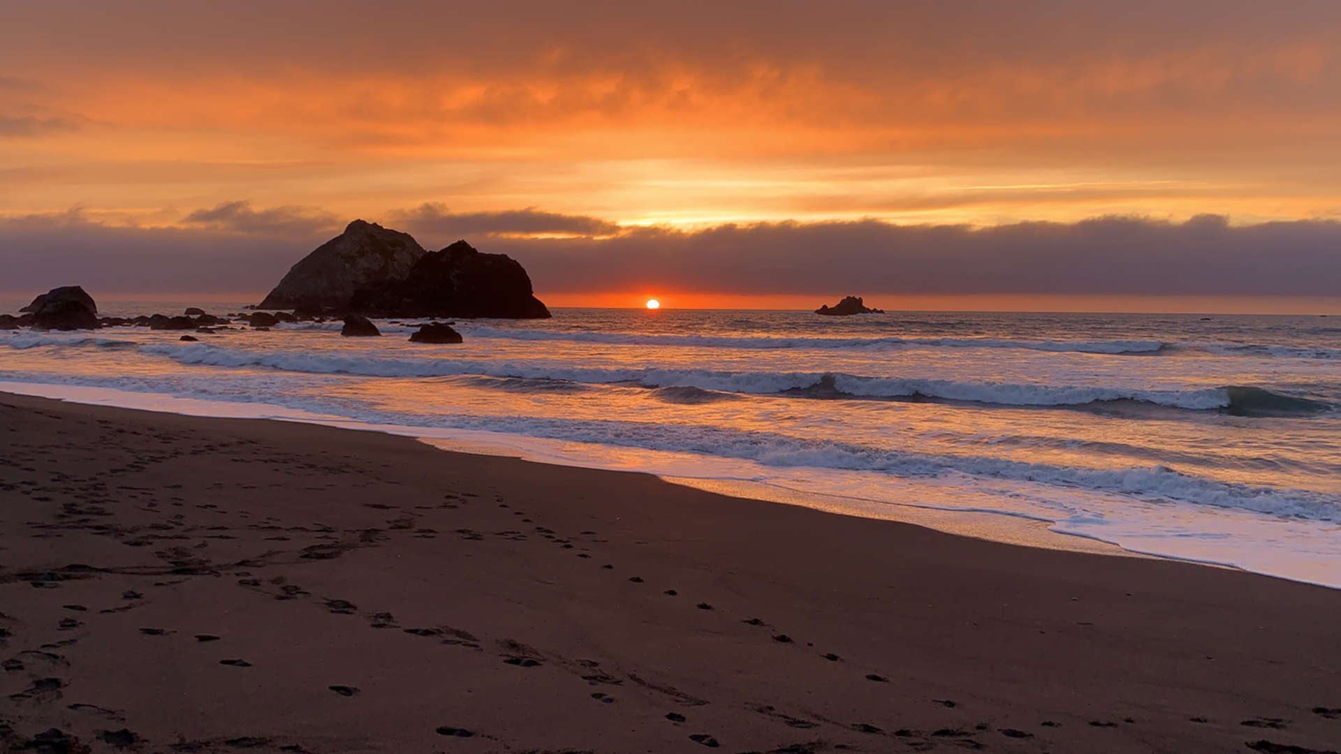 An image depicting the trail The Coastal Trail - Klamath Section and Hidden Beach Trail and its surrounding area.