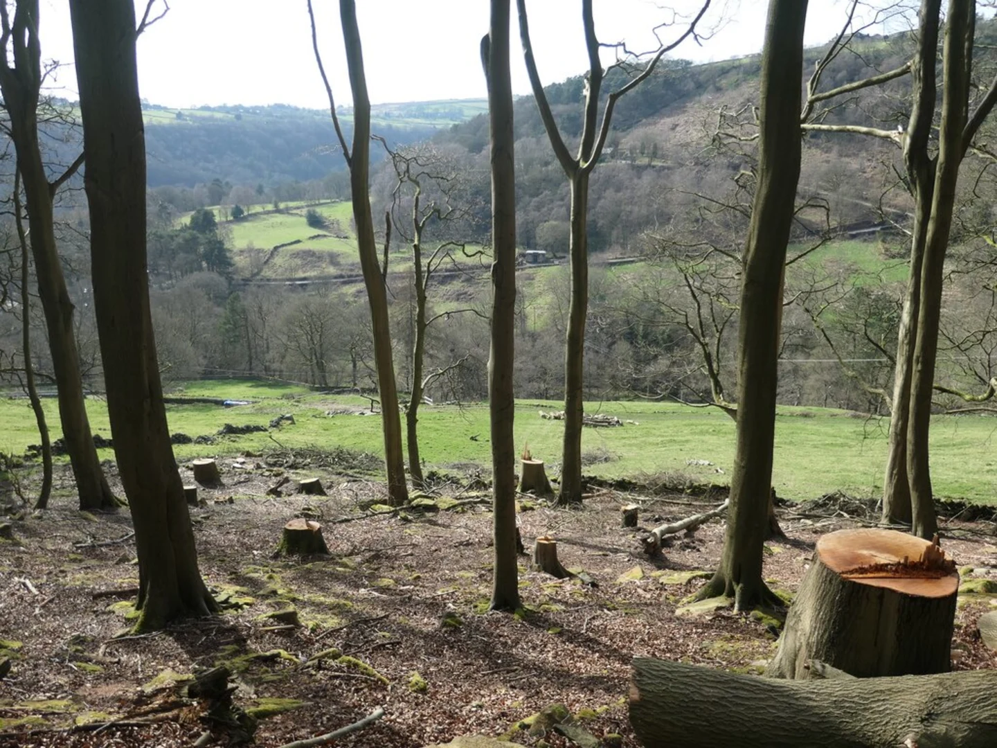 An image depicting the trail Lumb Falls, Gibson Mills, Naze Hill and Baby House Hill Loop and its surrounding area.